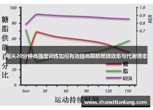 每天20分钟高强度训练如何有效提高脂肪燃烧效率与代谢速率