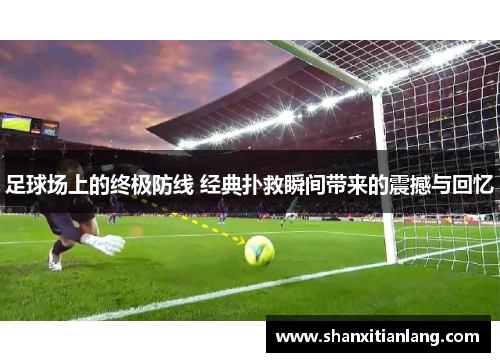 足球场上的终极防线 经典扑救瞬间带来的震撼与回忆