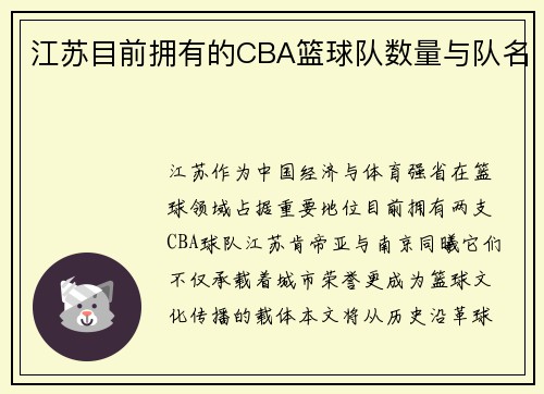 江苏目前拥有的CBA篮球队数量与队名