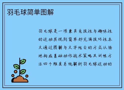 羽毛球简单图解